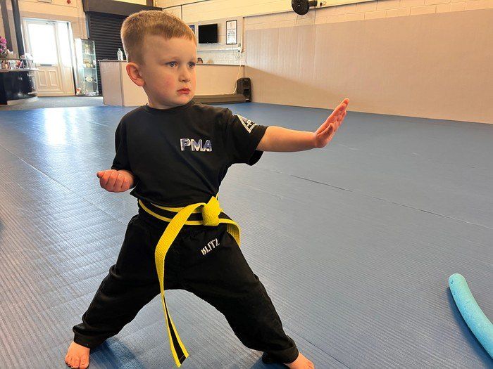<center>THE ULTIMATE MARTIAL ARTS BLUEPRINT FOR HEALTHY CHILD DEVELOPMENT<center>