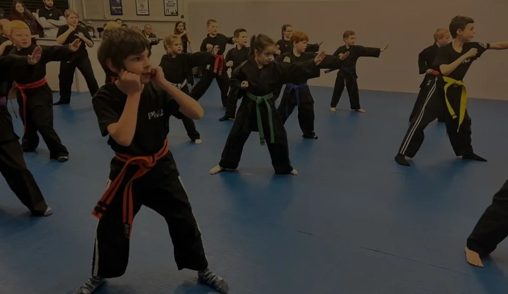 CONFIDENCE BUILDING MARTIAL ARTS CLASSES IN LLANFAIRFECHAN